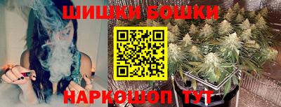 индика Ливны