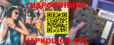 индика Ливны