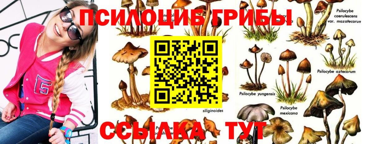 Гашиш  Cocaine  КОКАИН  Йошкар-Ола  Вход с VPN  Марихуана  МЕФ кристаллы  Alpha-PVP СОЛЬ кристаллы 
